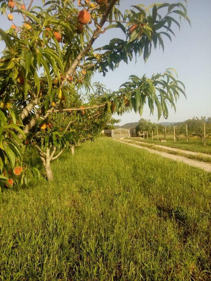 阿尔盖罗Residenza Agrituristica Santa Lucia Con Piscina公寓 外观 照片