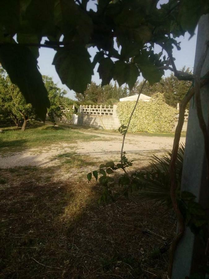 阿尔盖罗Residenza Agrituristica Santa Lucia Con Piscina公寓 外观 照片
