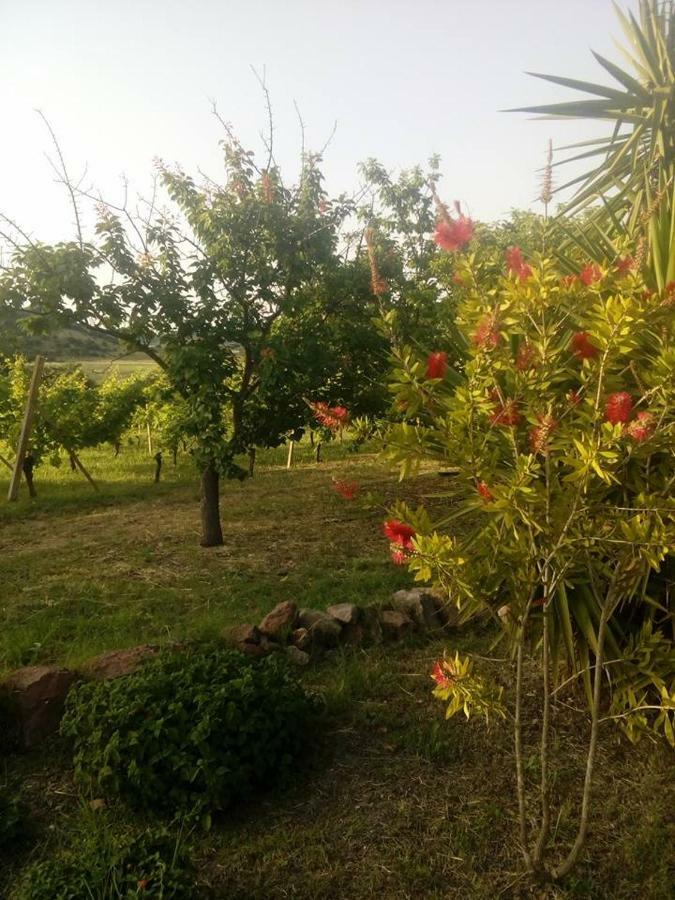 阿尔盖罗Residenza Agrituristica Santa Lucia Con Piscina公寓 外观 照片